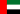 UAE flag